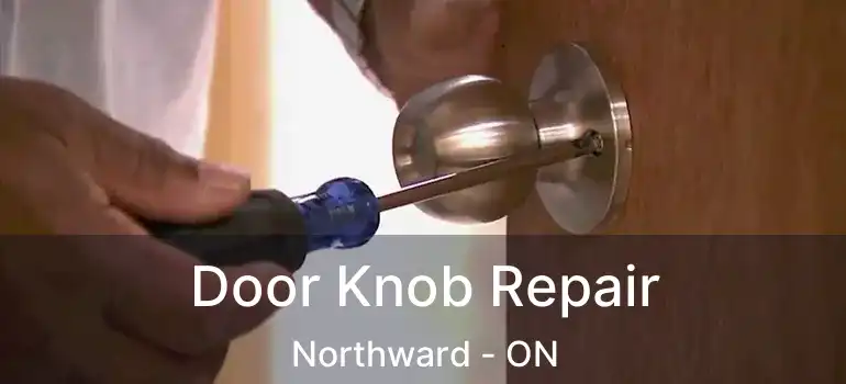  Door Knob Repair Northward - ON