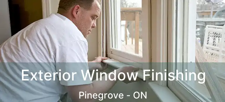  Exterior Window Finishing Pinegrove - ON