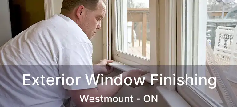  Exterior Window Finishing Westmount - ON