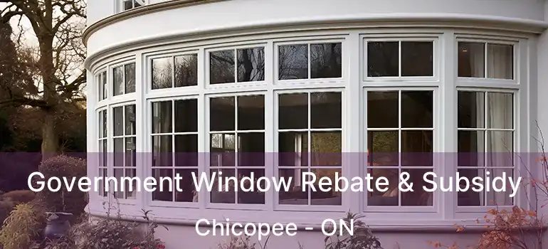  Government Window Rebate & Subsidy Chicopee - ON