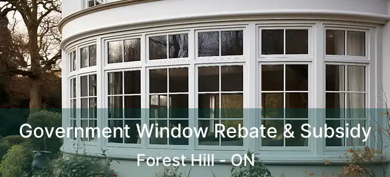  Government Window Rebate & Subsidy Forest Hill - ON