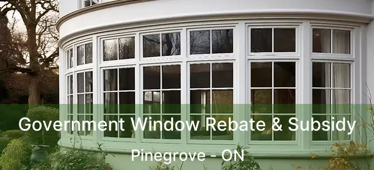  Government Window Rebate & Subsidy Pinegrove - ON