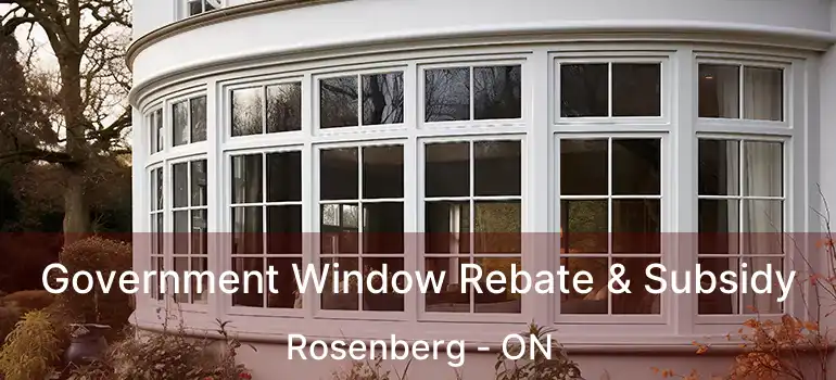  Government Window Rebate & Subsidy Rosenberg - ON