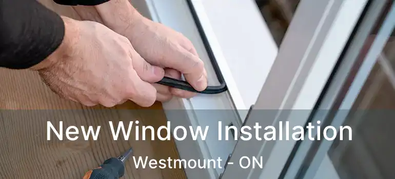  New Window Installation Westmount - ON