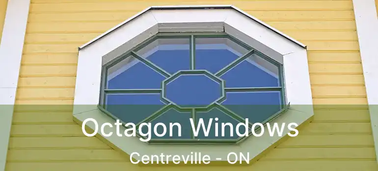  Octagon Windows Centreville - ON