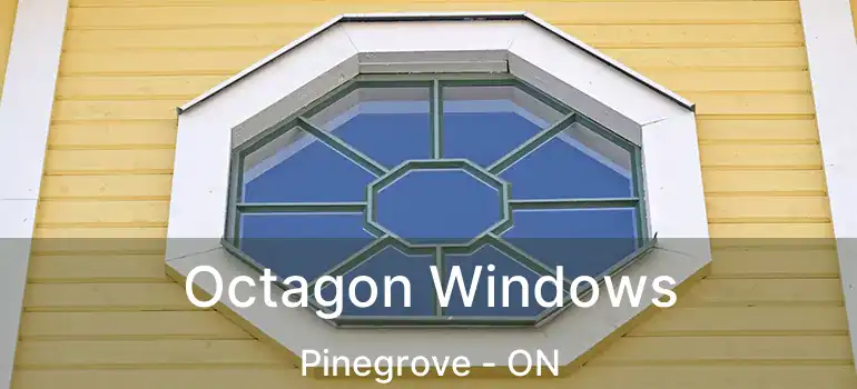  Octagon Windows Pinegrove - ON