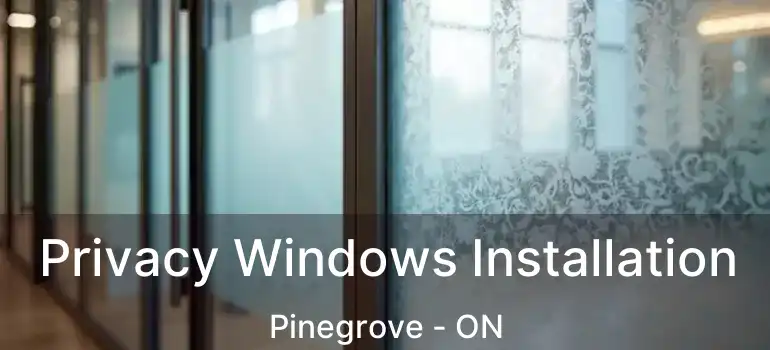  Privacy Windows Installation Pinegrove - ON