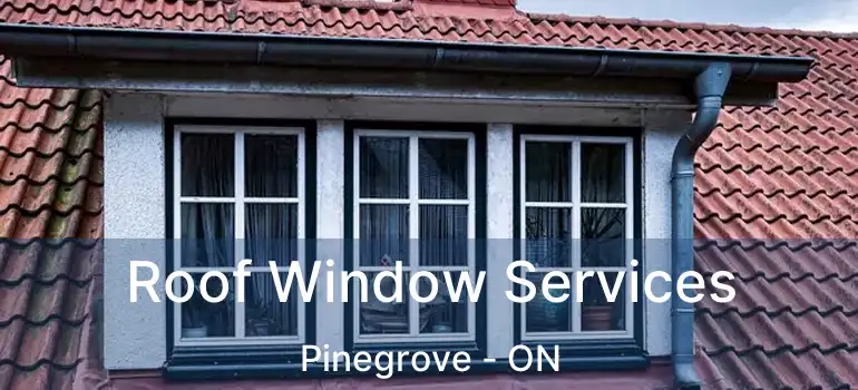  Roof Window Services Pinegrove - ON