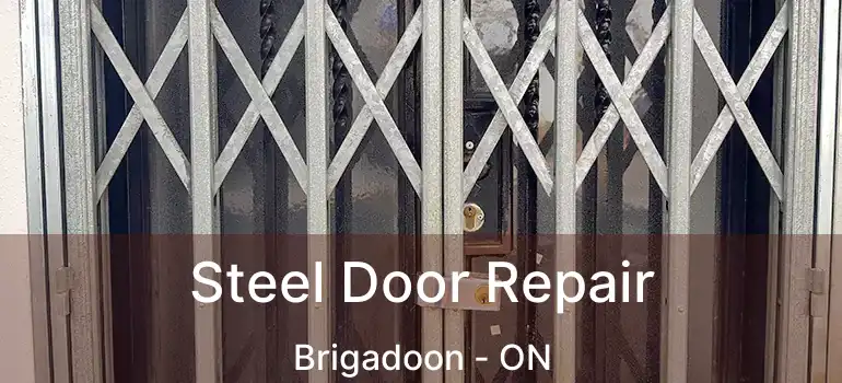 Steel Door Repair Brigadoon - ON