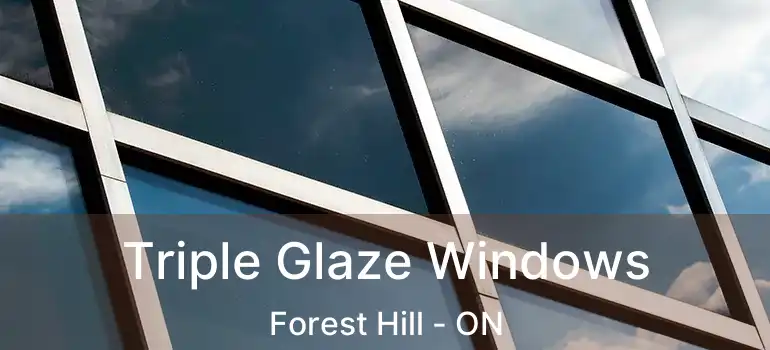  Triple Glaze Windows Forest Hill - ON