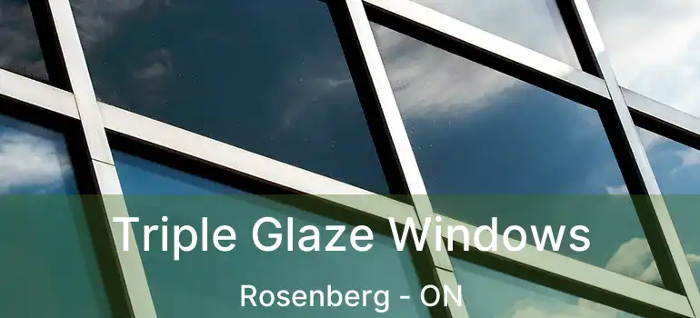 Triple Glaze Windows Rosenberg - ON