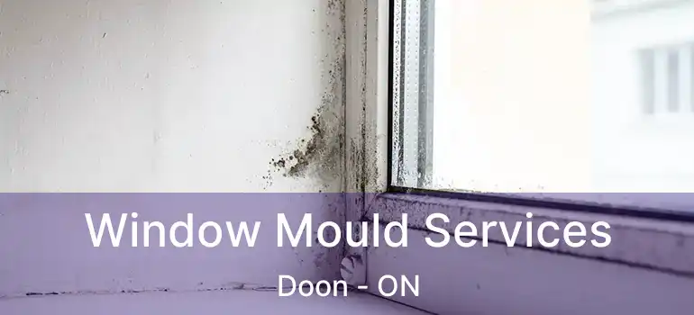  Window Mould Services Doon - ON