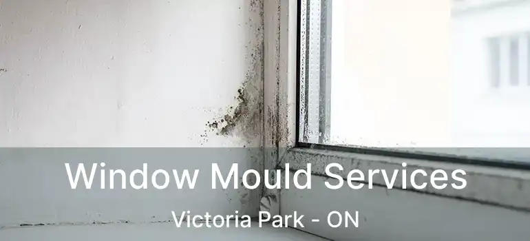  Window Mould Services Victoria Park - ON