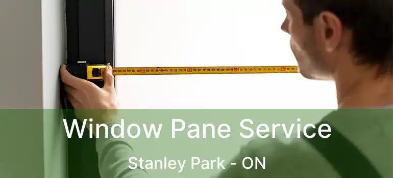  Window Pane Service Stanley Park - ON