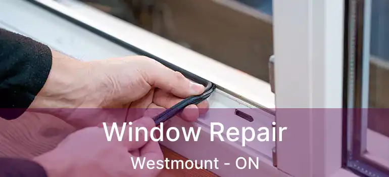  Window Repair Westmount - ON