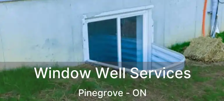  Window Well Services Pinegrove - ON